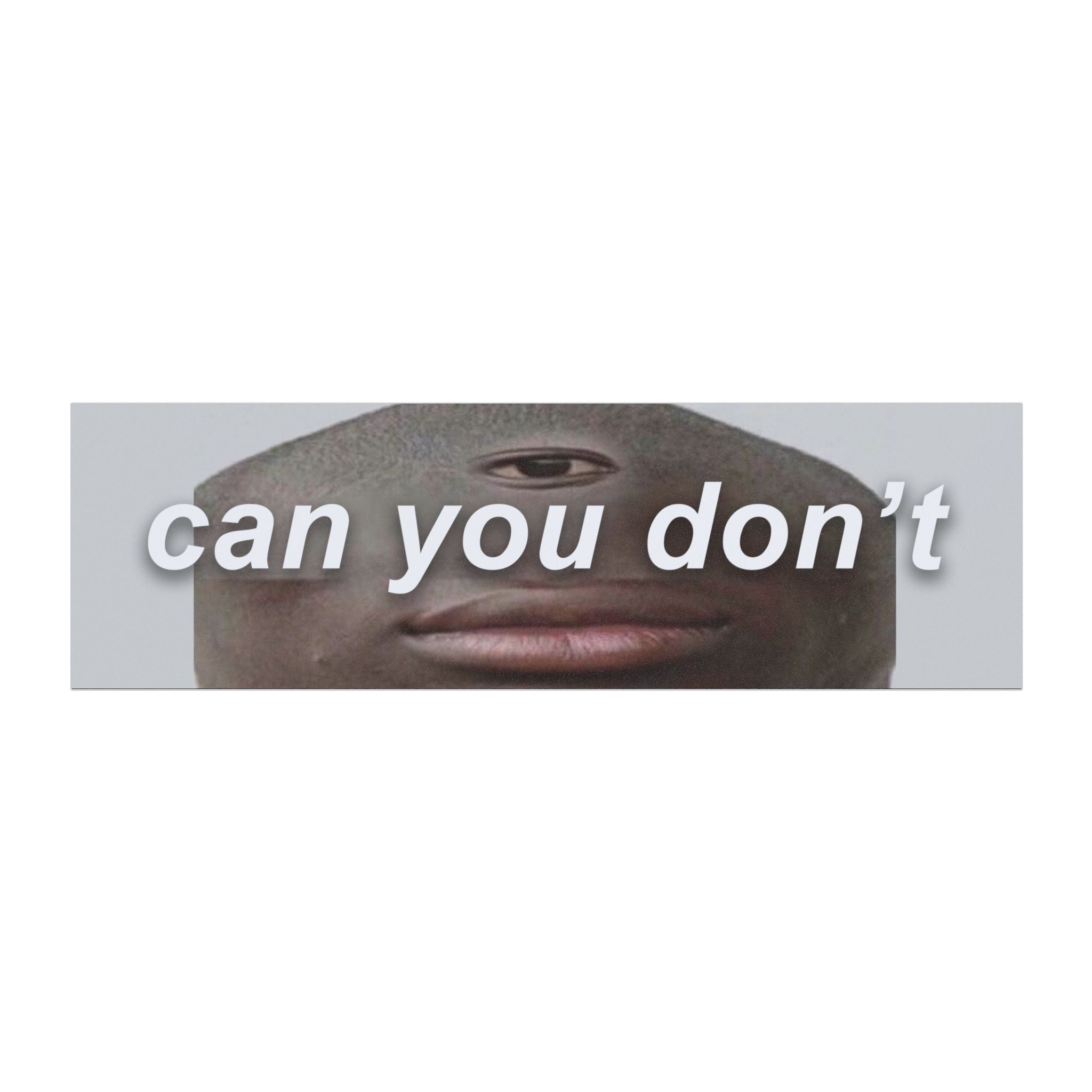 Can You Don't Car Magnet