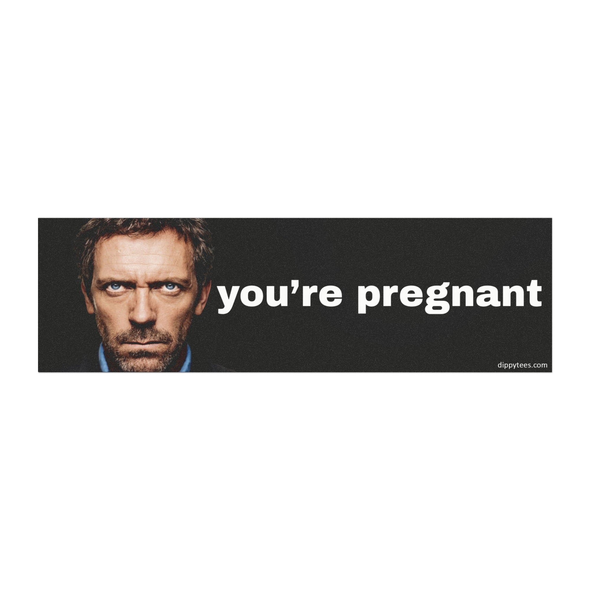 You're Pregnant Car Magnet
