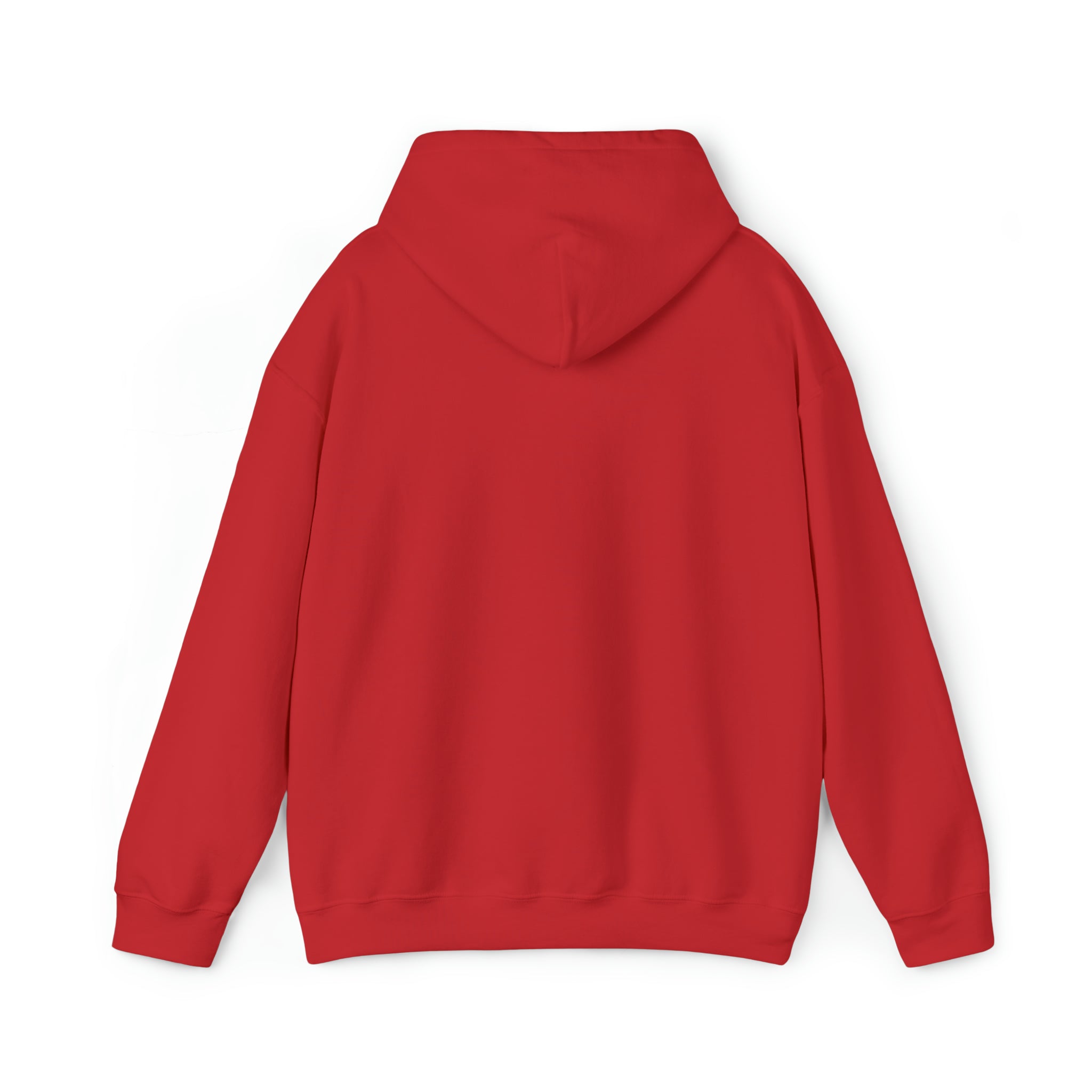 I Can't Take It Anymore Hoodie