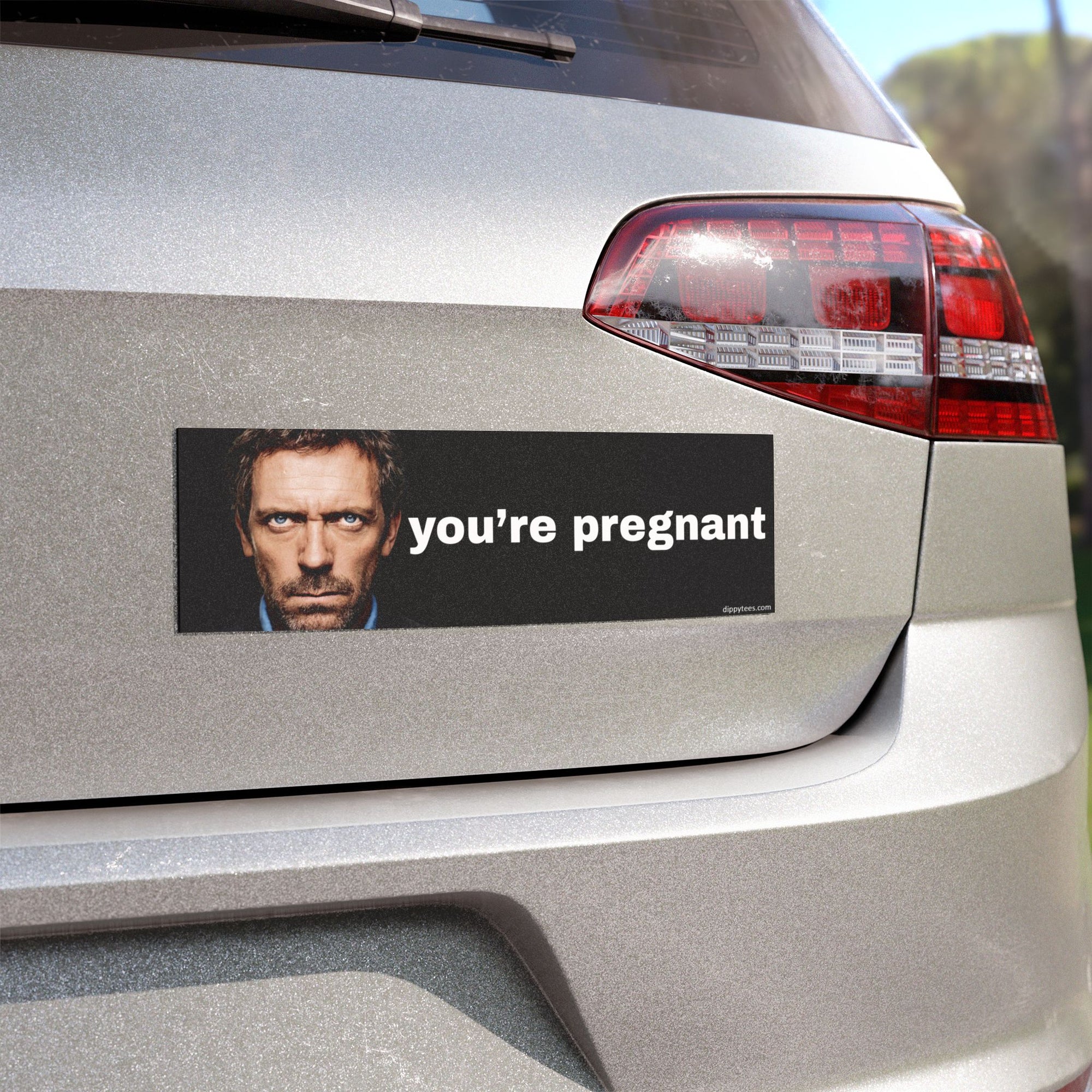 You're Pregnant Car Magnet