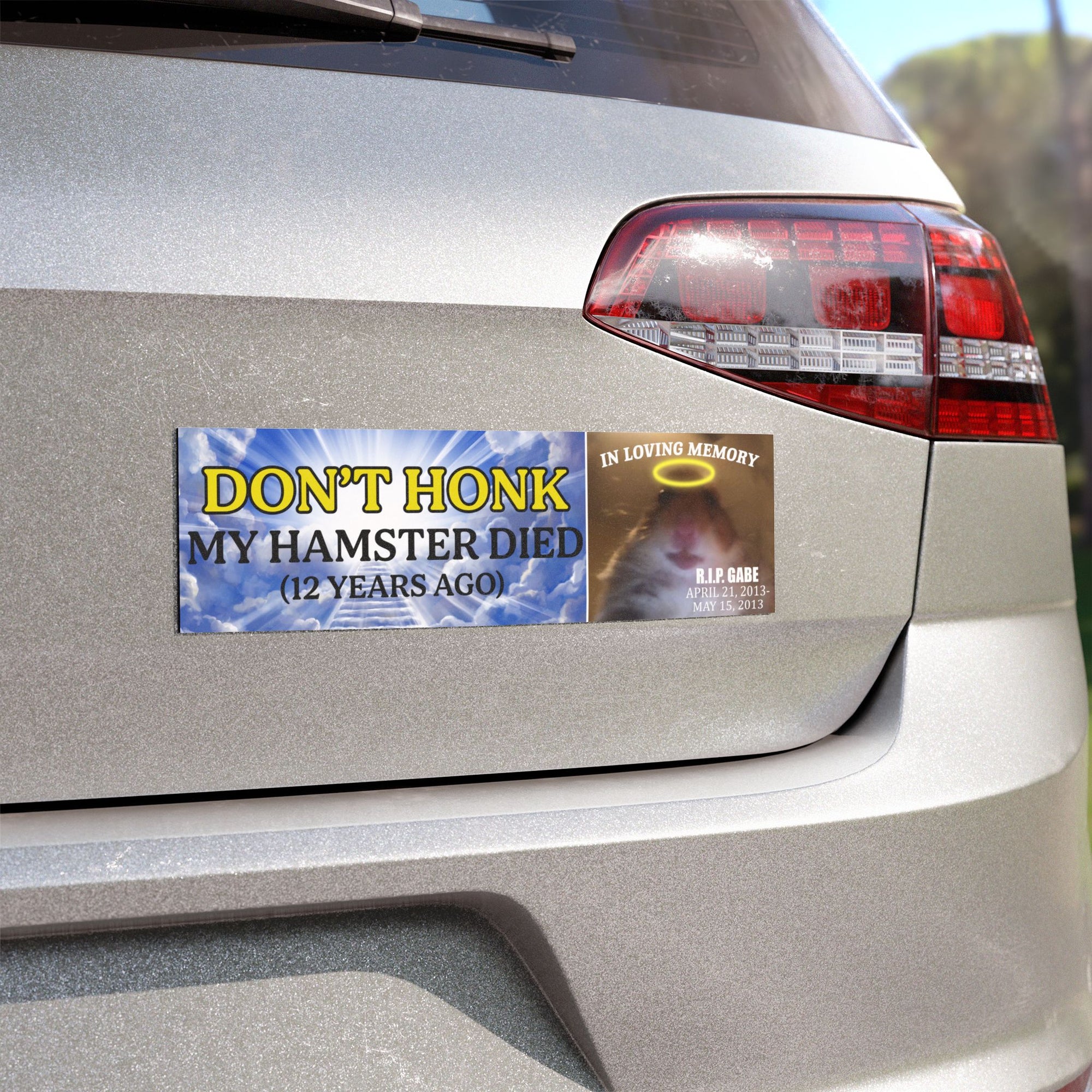 Don't Honk My Hamster Died Car Magnet