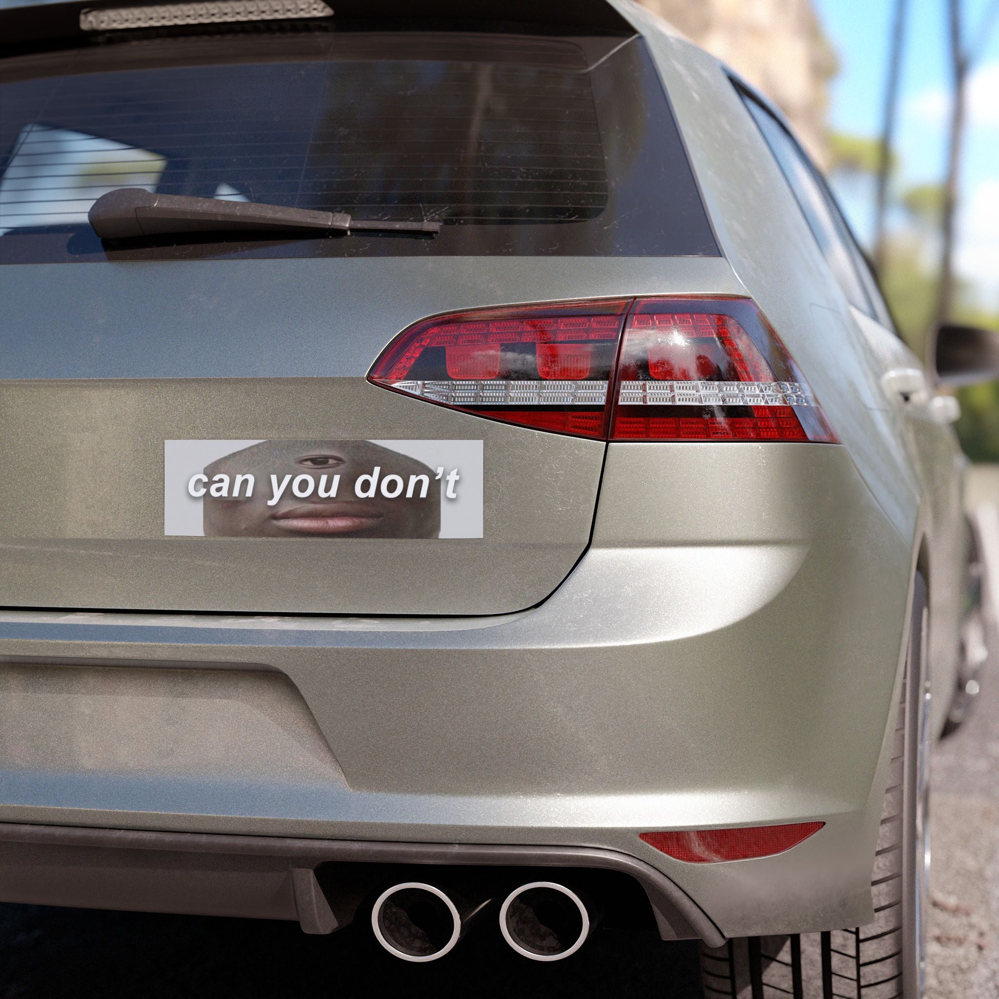 Can You Don't Car Magnet