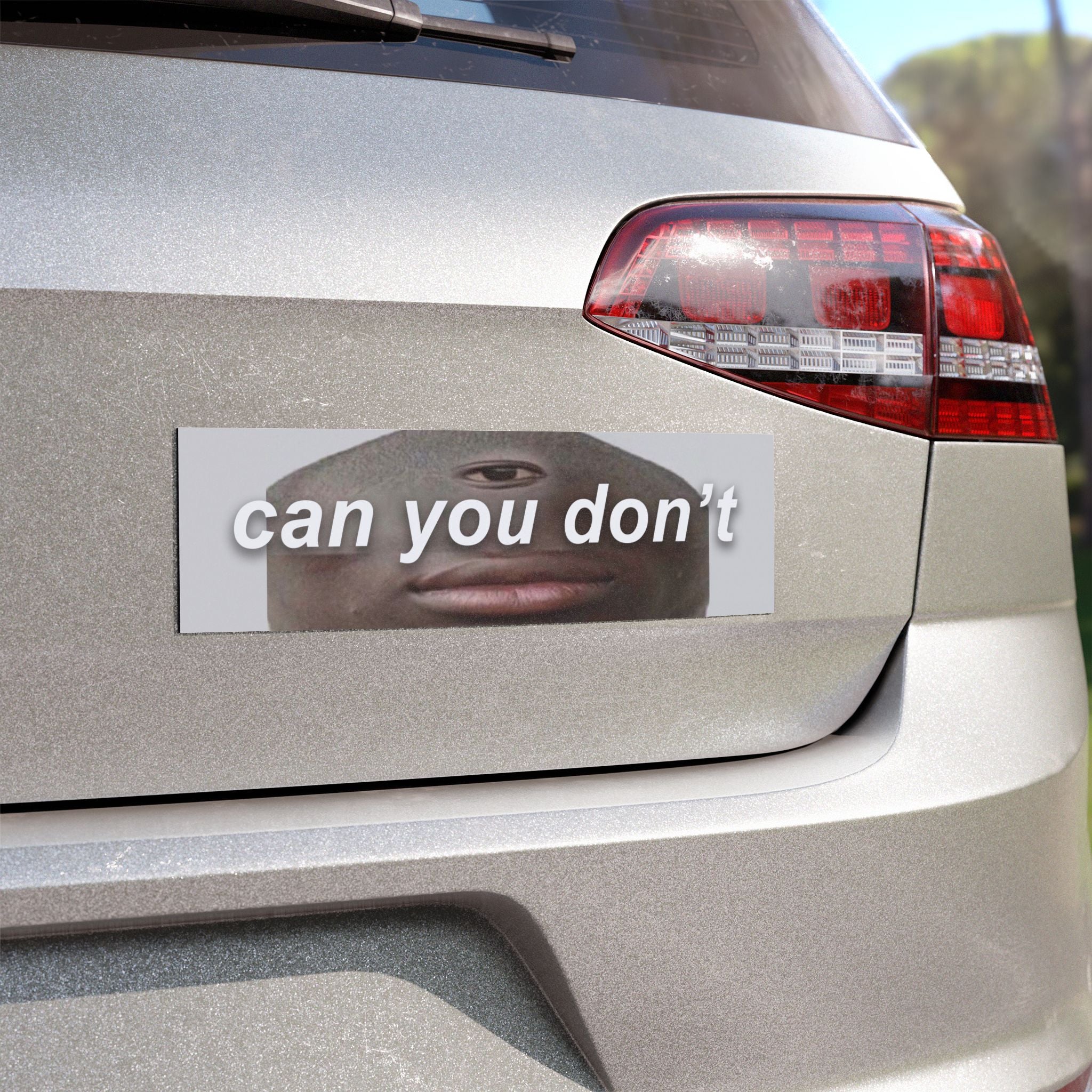 Can You Don't Car Magnet