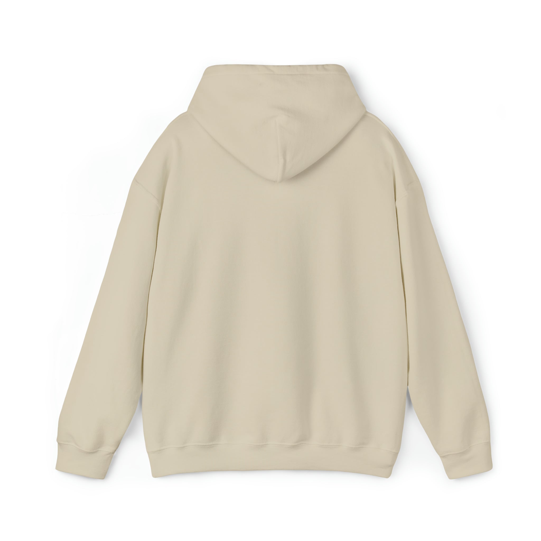 I Can't Take It Anymore Hoodie