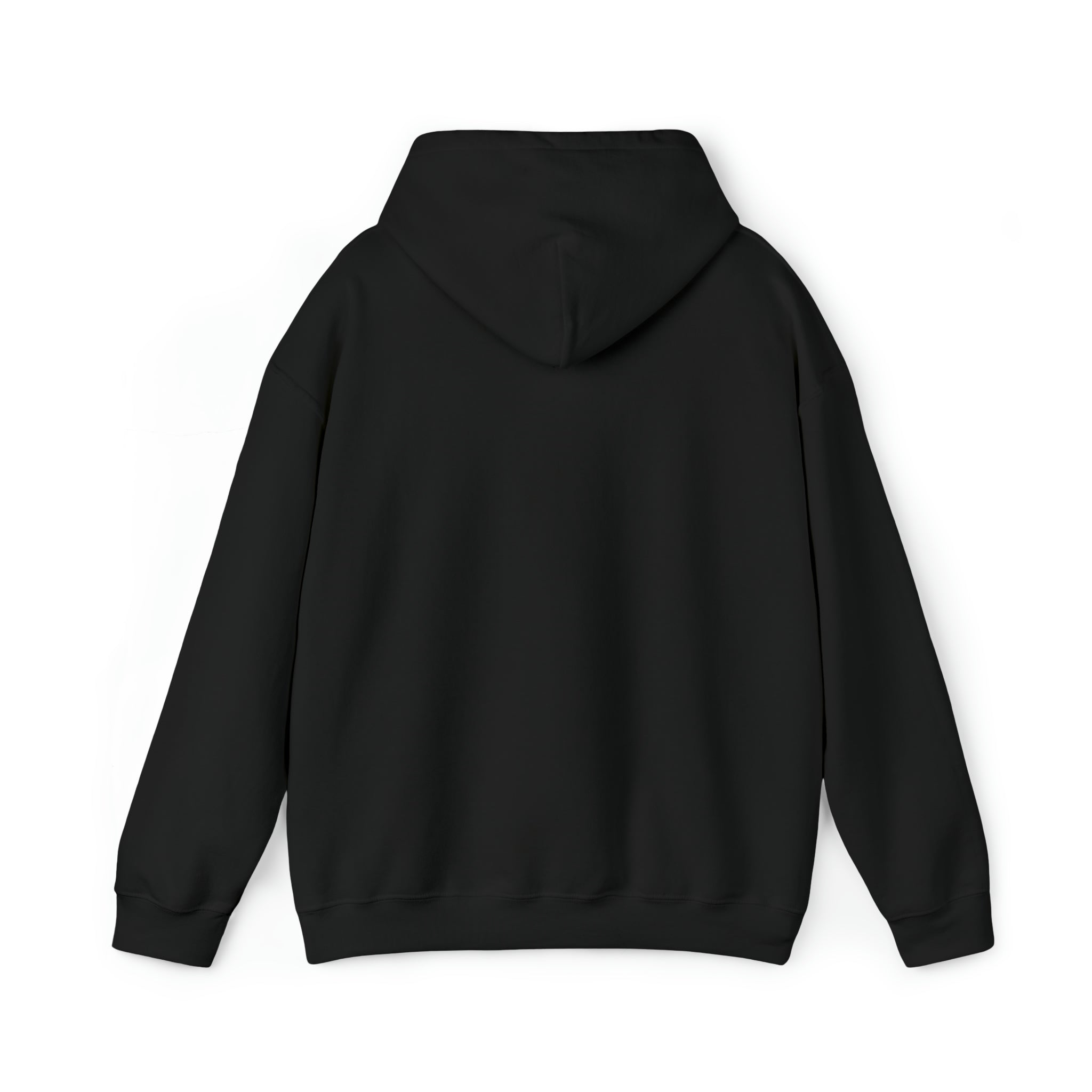 I Can't Take It Anymore Hoodie