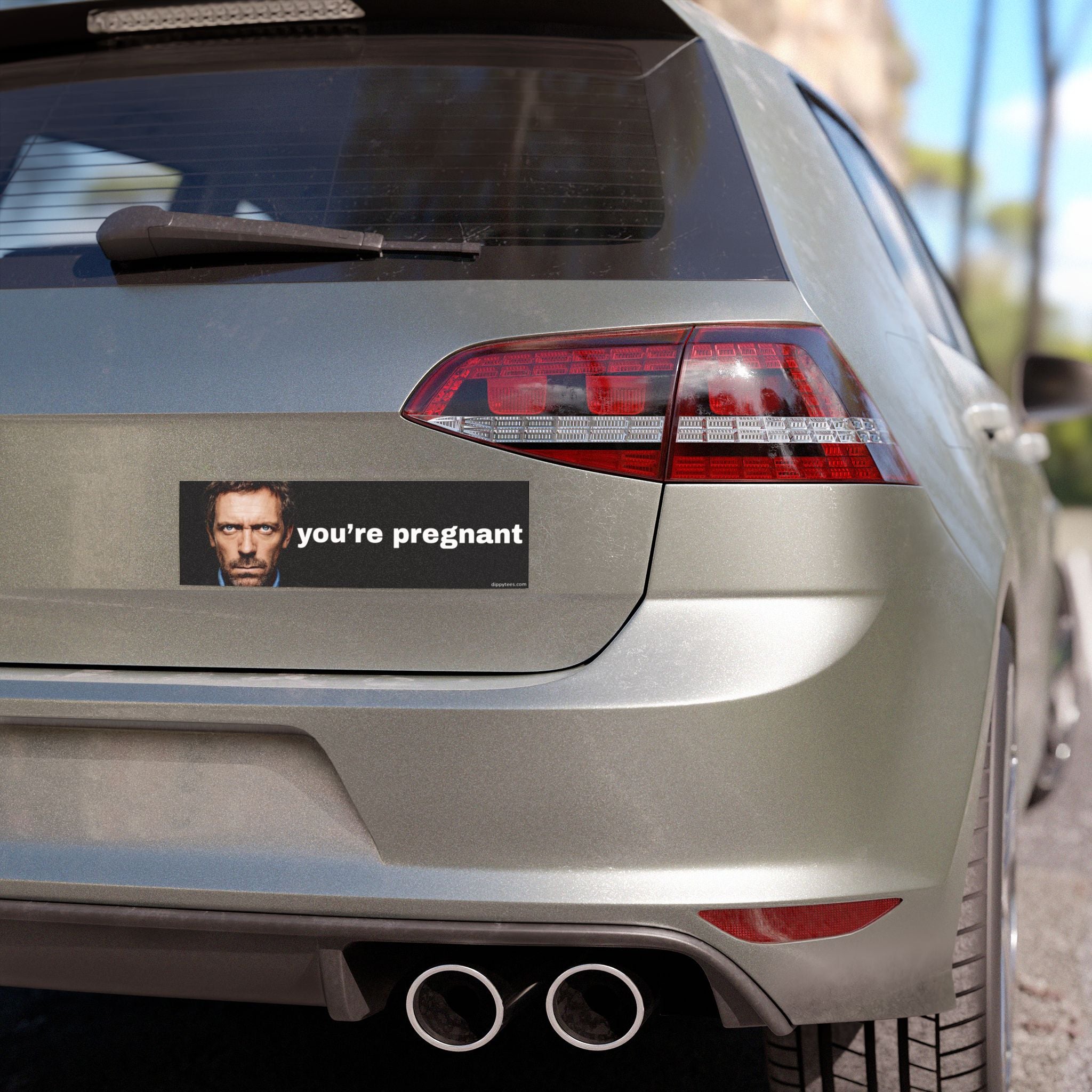 You're Pregnant Car Magnet