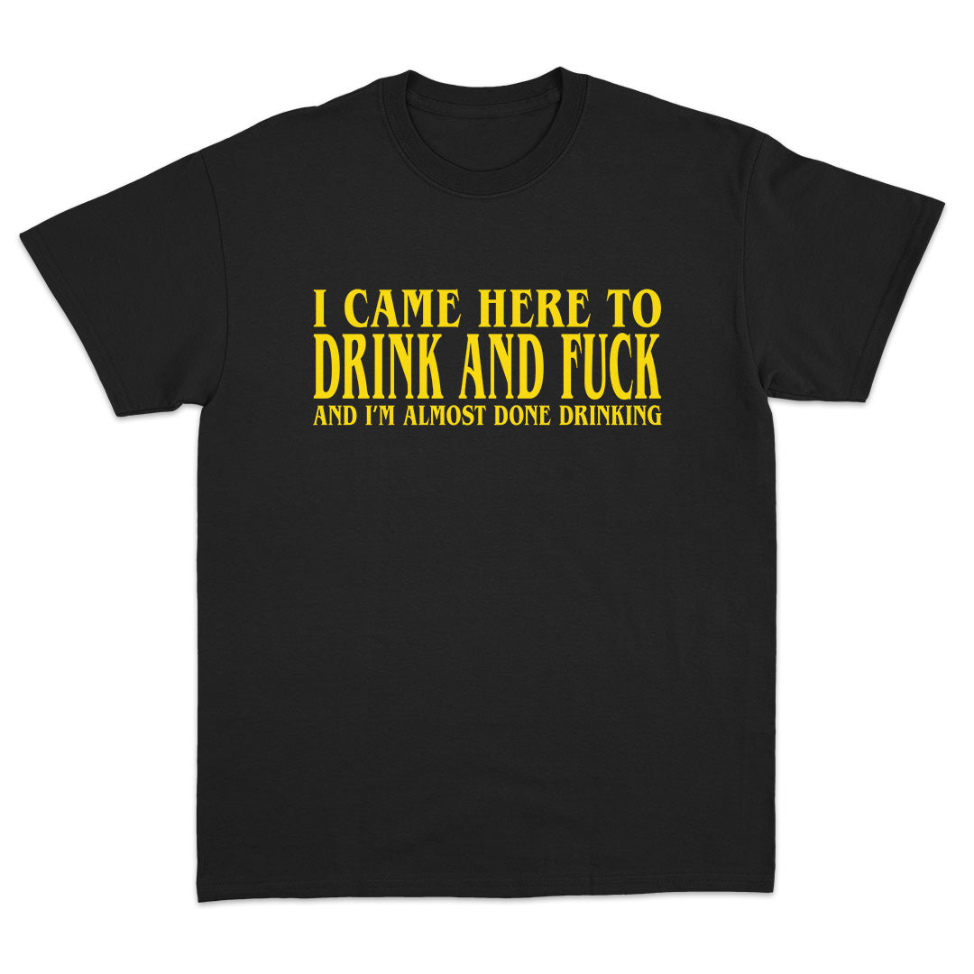 I Came Here To Drink And Fuck T-Shirt