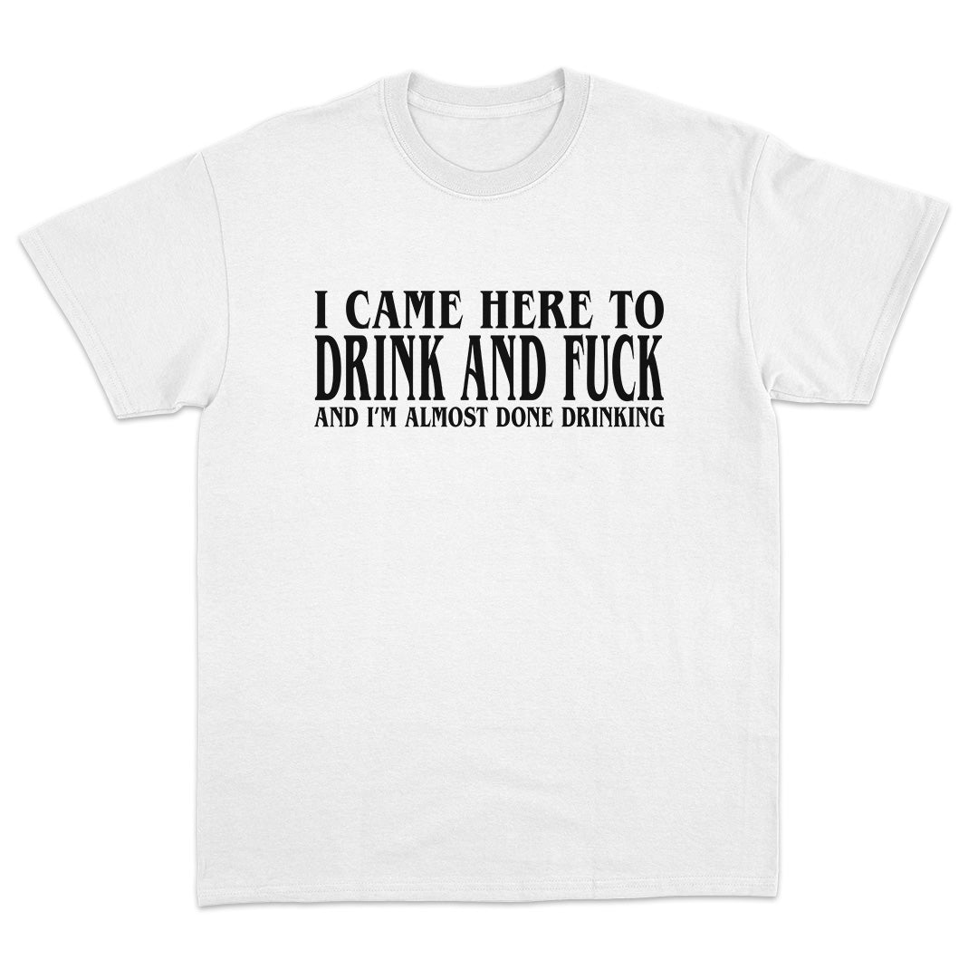 I Came Here To Drink And Fuck T-Shirt