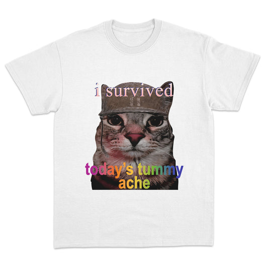 I Survived Today's Tummy Ache T-shirt